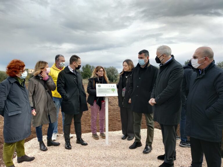 Fastweb per un futuro più green di Bari, 3.000 alberi piantati in 3 anni