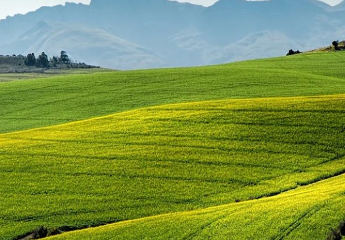 Agricoltura, via libera bilancio di esercizio 2020 Ente Terre Toscana