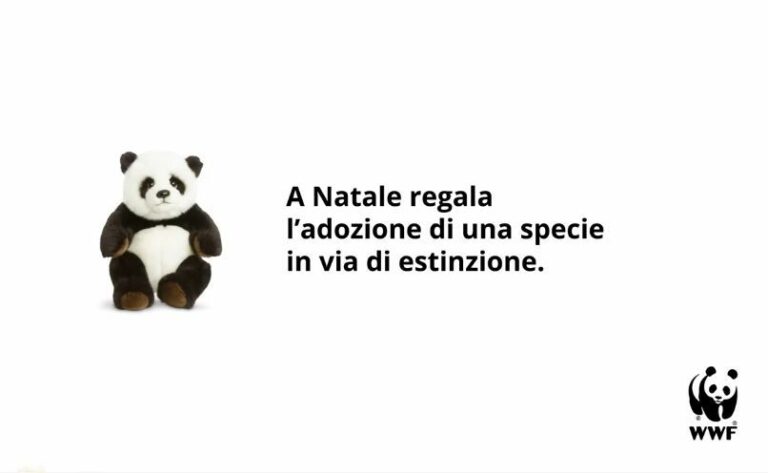 La lince iberica salvata dall’estinzione