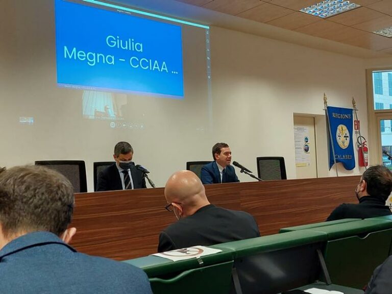 Sviluppo Economico, Varì “Attuare programmazione efficace”