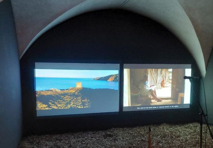 Ambiente, Asinara al museo Marini di Firenze