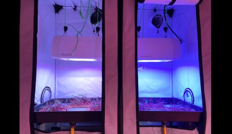 Enea con Asi e G&A Engineering per coltivare orti lunari