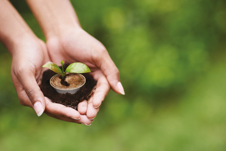 Caffè Borbone lancia una capsula amica della natura