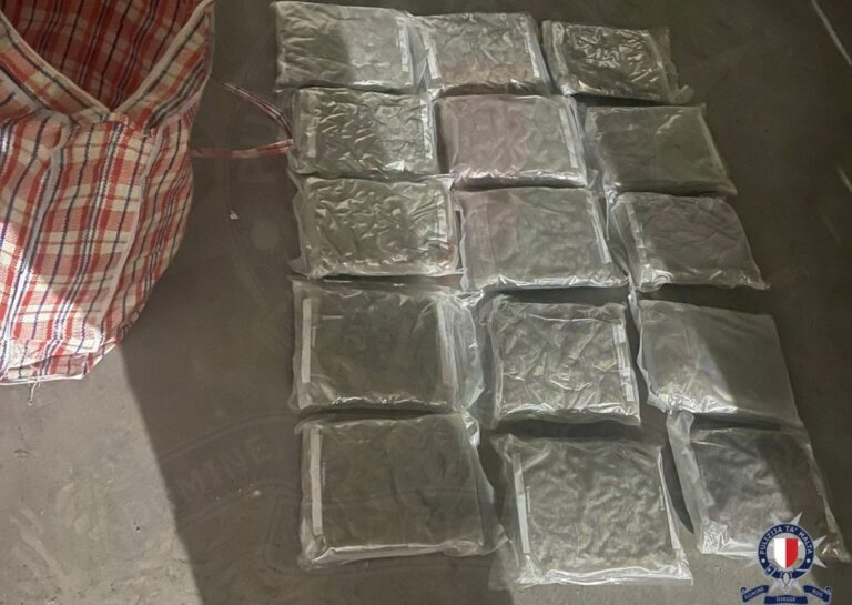 Malta, Neapolitan arrested following drug raid