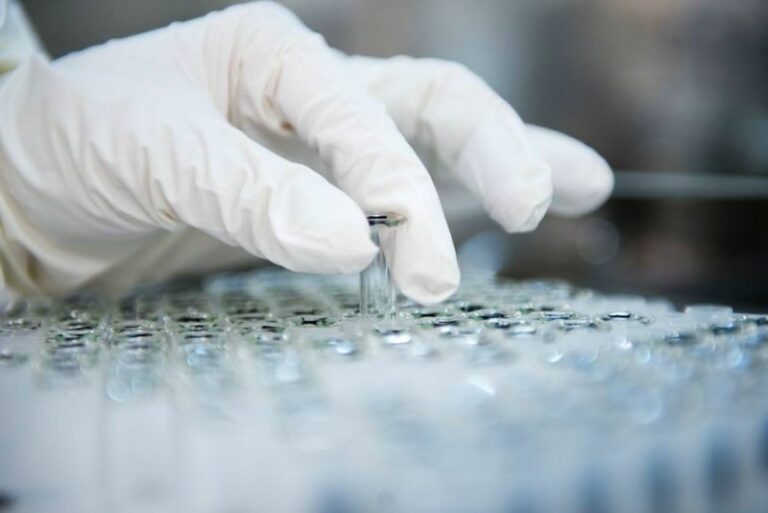 Sindrome di Cornelia de Lange, nuova luce sui processi molecolari