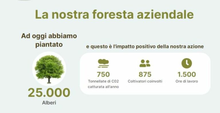 Tiscali “The Greenest” grazie a 25.000 alberi piantati con Sidi