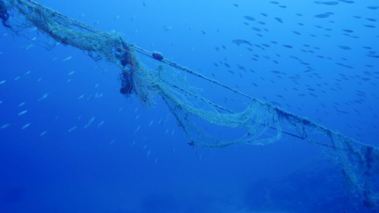 In un anno Marevivo ha rimosso 4 km di reti fantasma