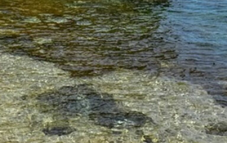 Sardegna, Solinas “6 milioni ai comuni contro l’erosione costiera”