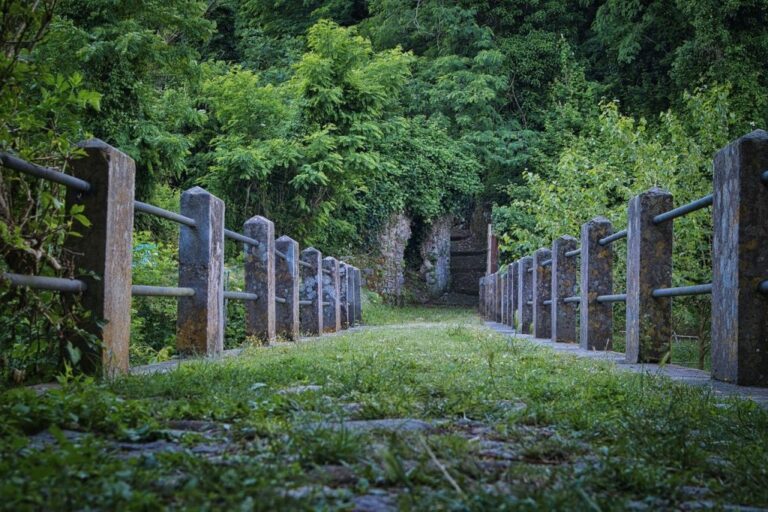 Parchi per il clima 2021, 9 progetti finanziati nel Parco Aspromonte
