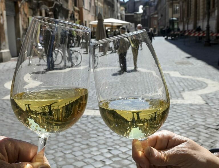 Agrinsieme, appello a Patuanelli a difesa del settore vitivinicolo