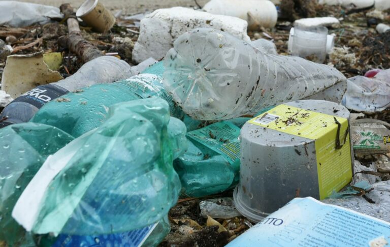 Nuove regole per la plastica monouso, Wwf “Importante passo avanti”