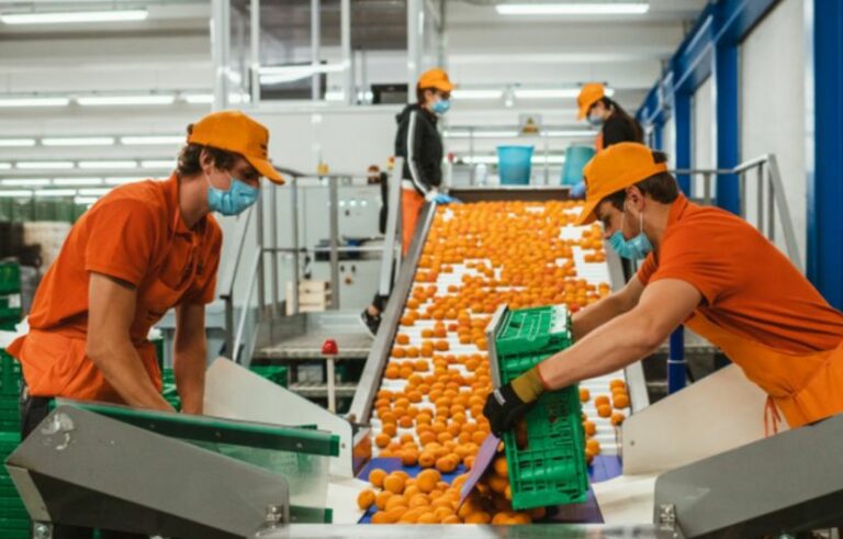 Caro bollette, Federalimentare “A rischio 40mila posti nel settore”