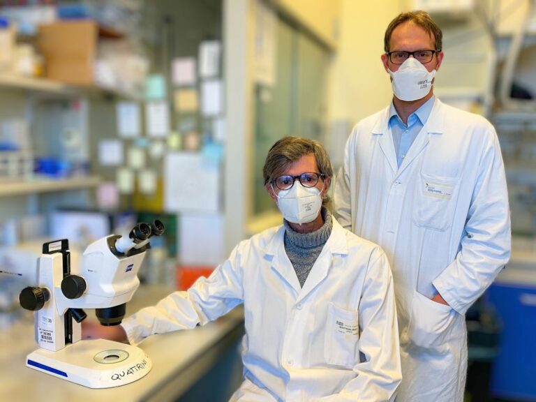 Sla, accumuli proteici nel sistema nervoso periferico dei pazienti