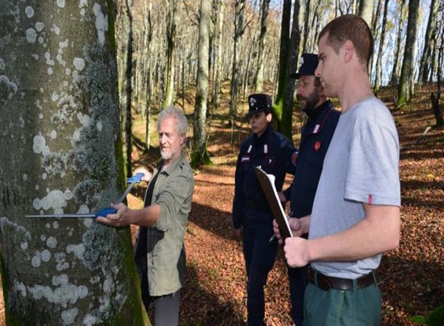 Carabinieri forestali in campo per difendere i boschi italiani