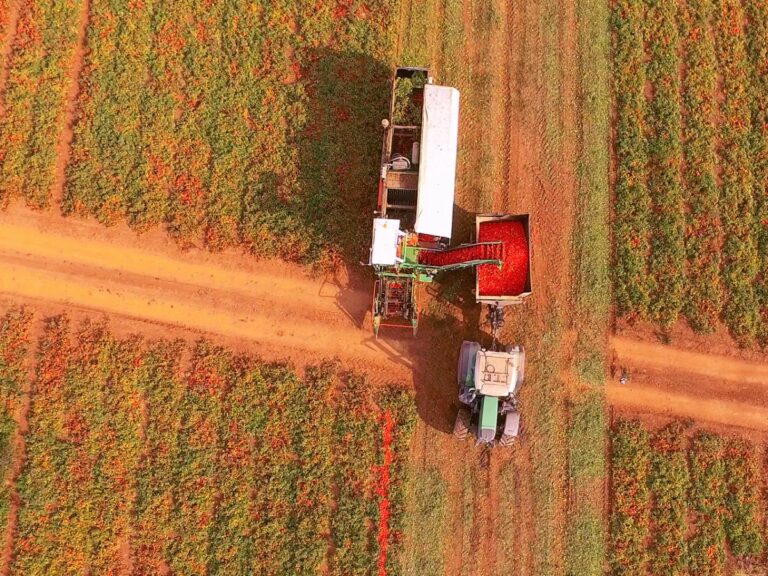 Agricoltura, in E.Romagna altri 120 milioni per investimenti a bando