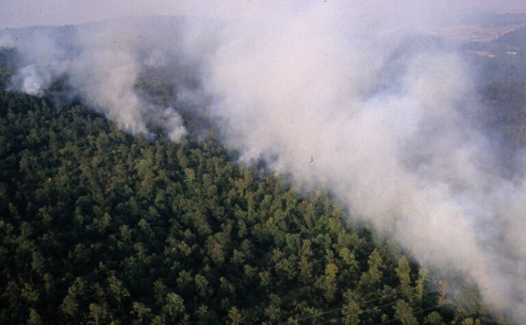 Incendi, prorogate all’11/3 le domande di contributo in Sardegna