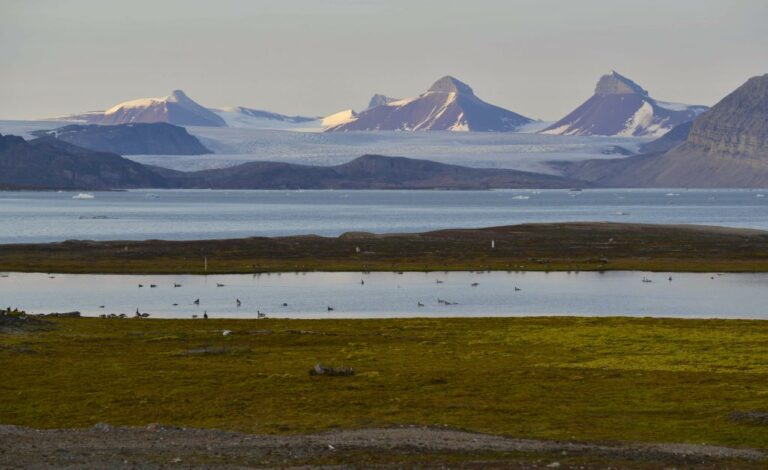 Nella tundra artica umidità e vegetazione controllano lo scambio di CO2