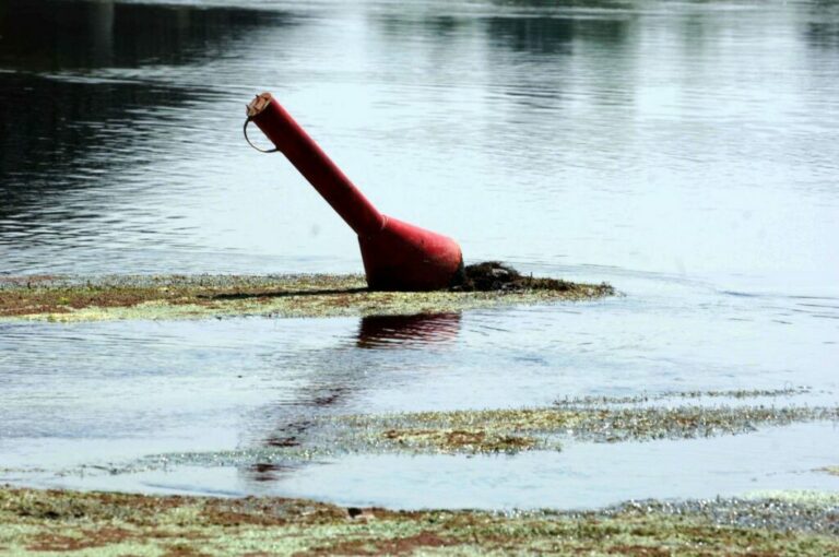Allarme Arpa “In Lombardia non piove, clima da inizio maggio”