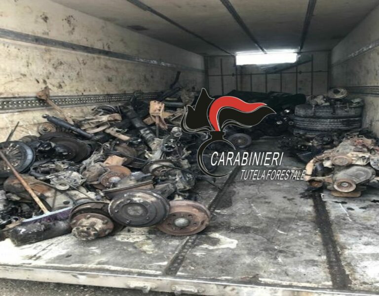 Maxi sequestro rifiuti stoccati in container, una denuncia nel Napoletano