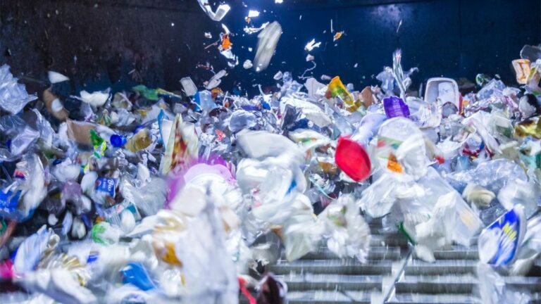 Allarme plastica, Wwf “Inquinamento oceani 4 volte maggiore nel 2050”