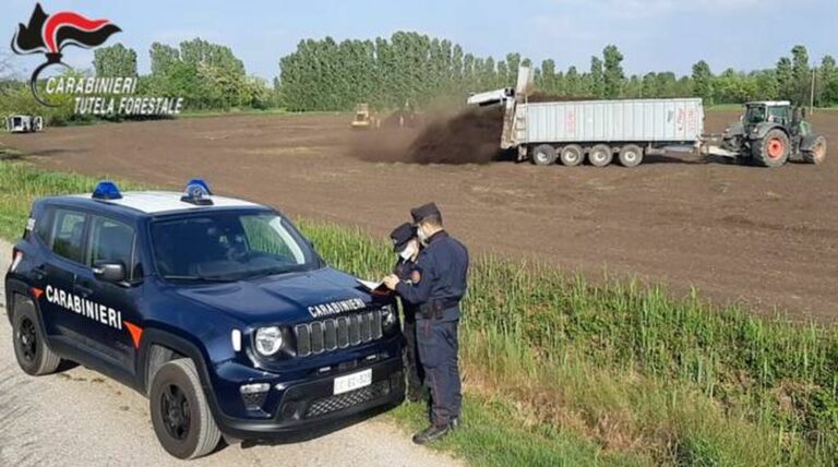 Carabinieri Forestali, in Lombardia aumentano reati e denunce