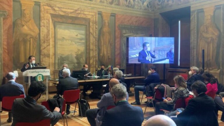 Con Fruclass il “rating” di produzione del grano italiano