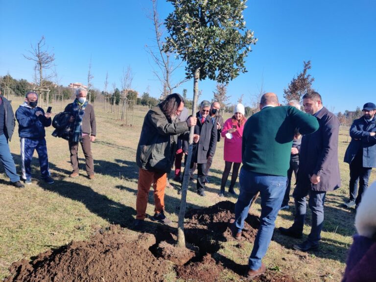 Roma, un nuovo bosco di 500 querce nel Parco di Aguzzano