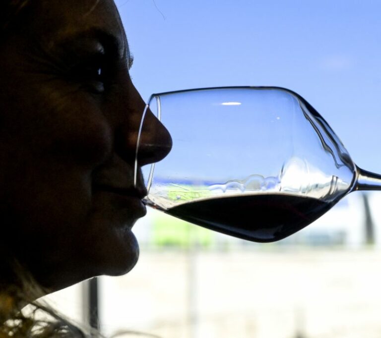 BuyWine, Giani e Saccardi inaugurano la vetrina del vino made in Tuscany