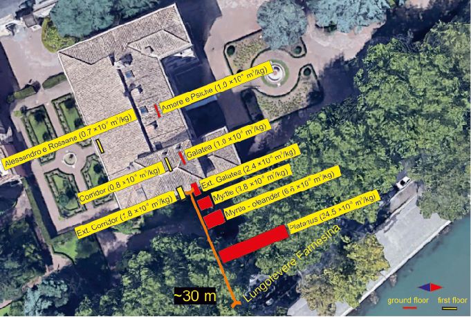 Smog, gli alberi proteggono gli affreschi di Raffaello a Villa Farnesina