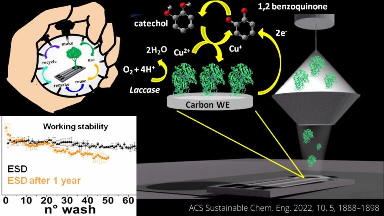 Cnr, biosensori ecosostenibili rilevano molecole tossiche per l’ambiente