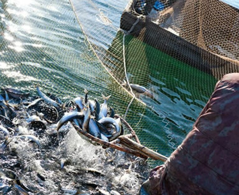 Liguria, Piana “Ok alle modifiche sulla pesca nelle acque interne”