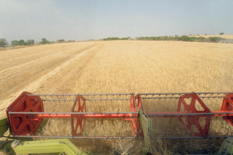 I costi dei prodotti agricoli continuano a salire