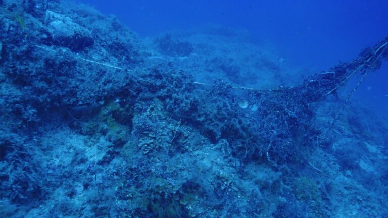 Marevivo, rimossa rete fantasma di 200 metri alle Formiche di Grosseto