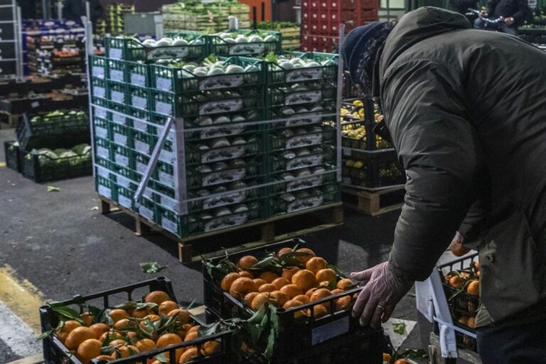 Sardegna, Solinas “Presto sostegno per aziende di cereali e ortofrutta”