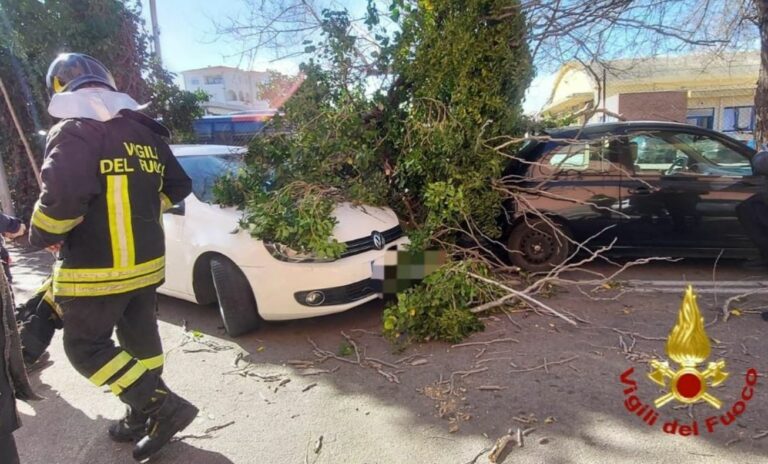 Forte vento nel sassarese, alberi spezzati e disagi