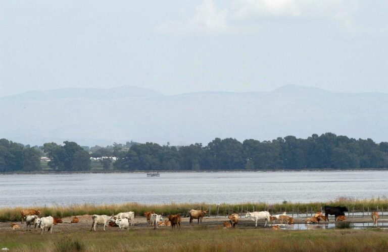 Parco del Circeo scelto come area campione del progetto “Visibility”
