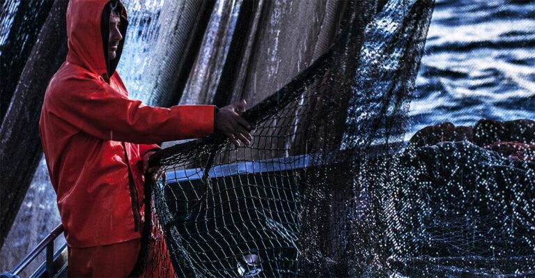 E.Romagna al fianco dei pescatori e delle imprese dell’Adriatico