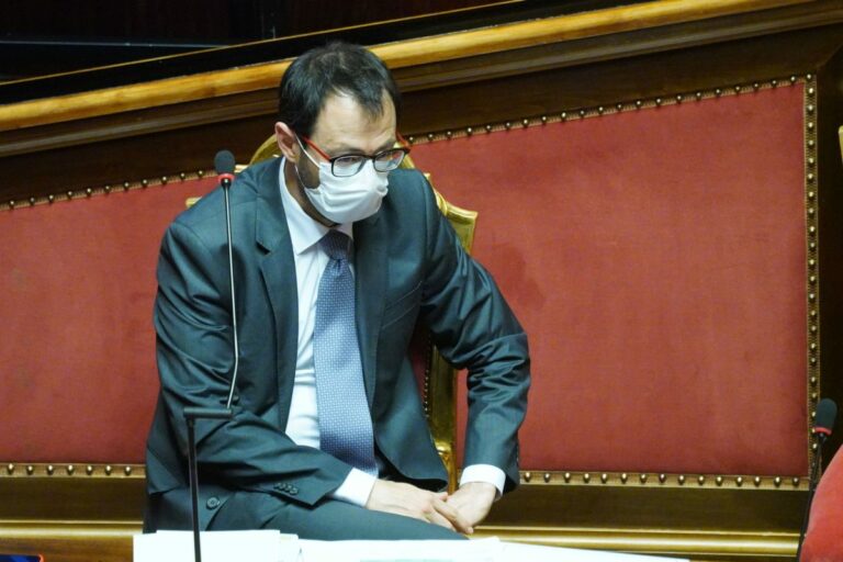 Patuanelli “Serve un Energy Recovery Fund europeo, riorientare la Pac”
