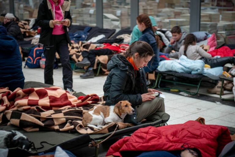 Ucraina, Zaia “300 posti di prima accoglienza in Veneto per i profughi”