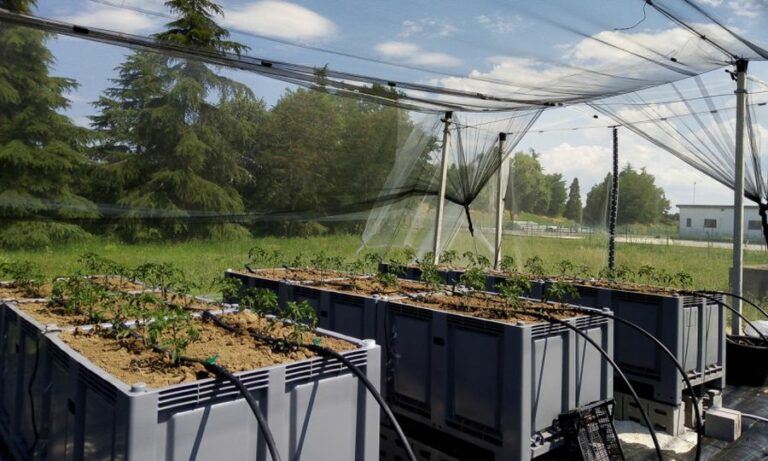 Irrigare e fertilizzare i campi con acque reflue depurate