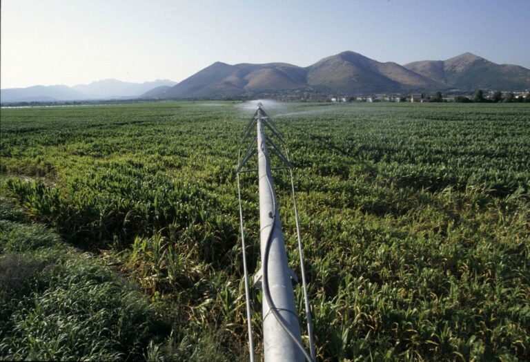 Ue, Confagricoltura: “Produrre più cereali potrebbe non bastare”