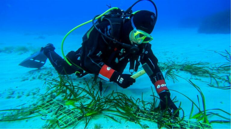 Tutela dei mari, al via il progetto “Save the wave” di E.ON e Ioc-Unesco