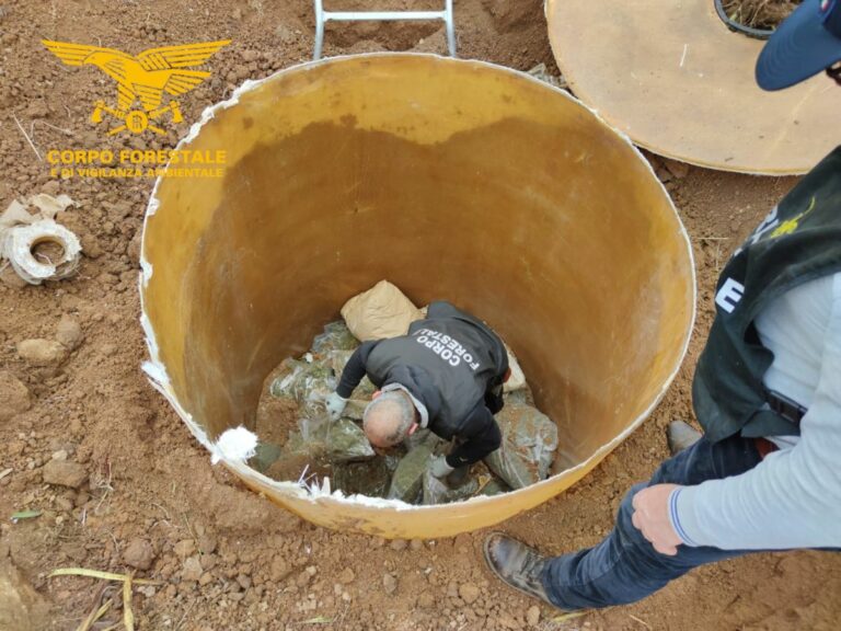 Sequestrati 342 kg di marijuana dal Corpo Forestale della Sardegna
