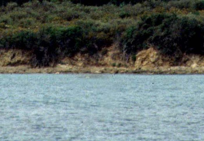 Sardegna, Solinas “2 mln agli enti locali per la difesa della costa”