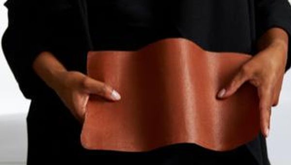 MIP SGR investe nella pelle sostenibile di Vitrolabs