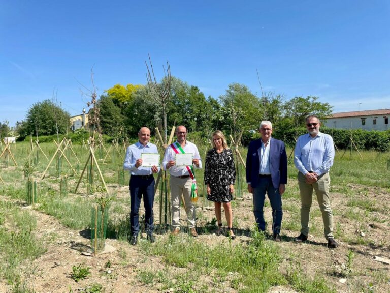 Arbolia, nel Milanese un bosco urbano di oltre mille piante