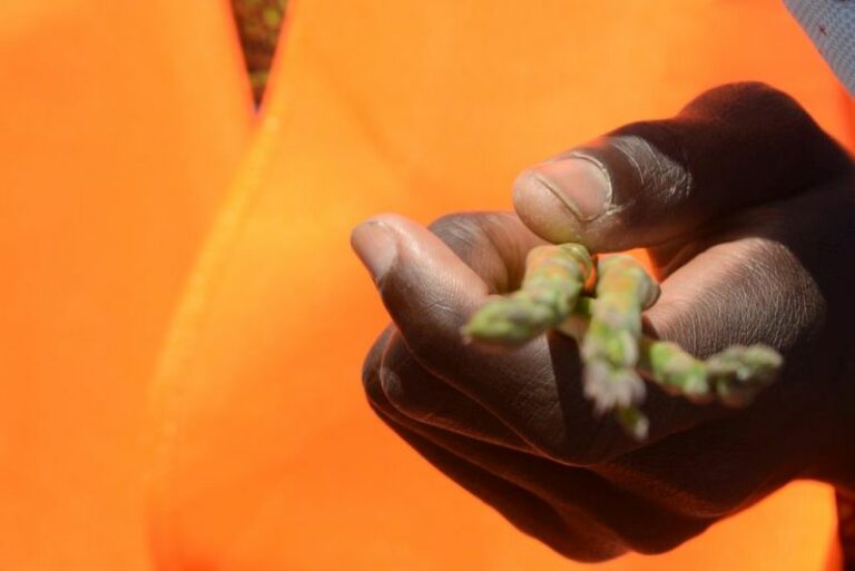 Caporalato, nel Lazio un fondo di garanzia abitativa da 500mila euro