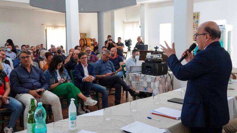 Peste suina in Sardegna, Nieddu “Ue rimuova restrizioni”