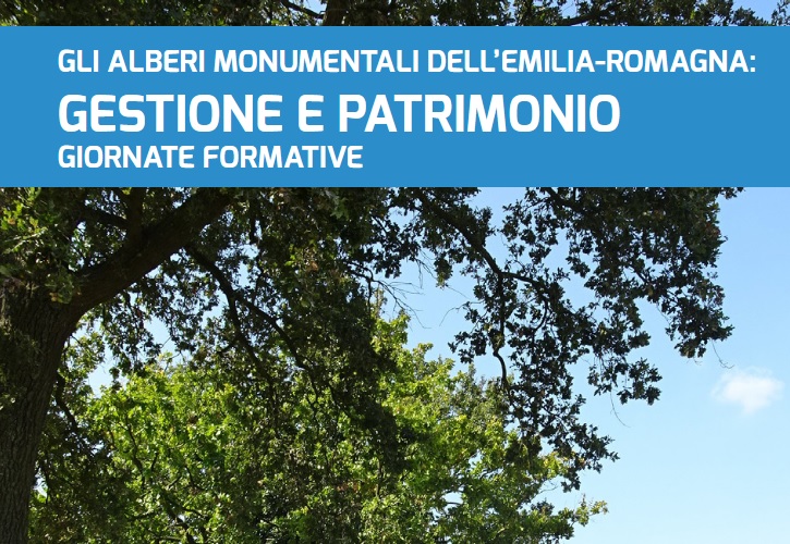Emilia Romagna terra di alberi monumentali, arriva il corso per esperti
