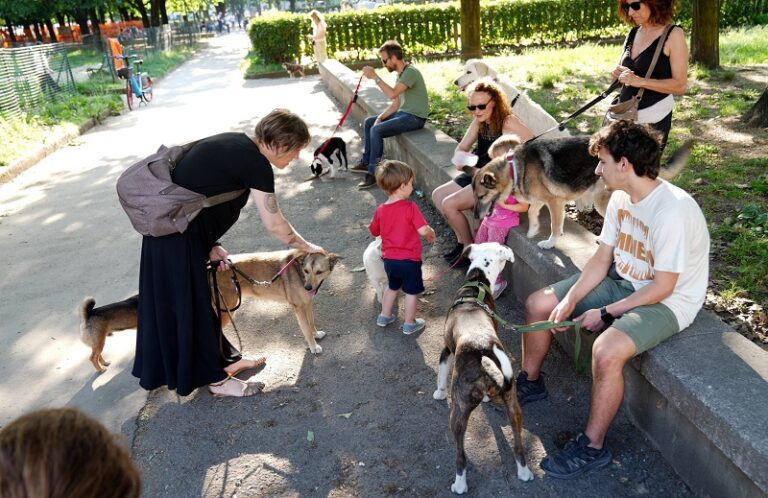 Fvg, investimento da 25 mln per nuovo stabilimento “pet food”